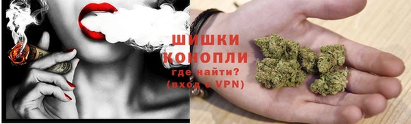 стафф Верхний Тагил
