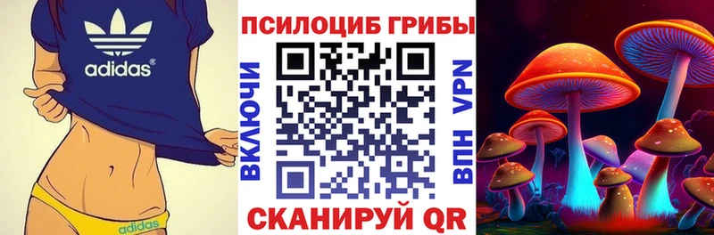 Псилоцибиновые грибы ЛСД  Ноябрьск 